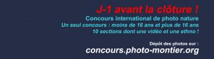 Montier Photo Festival