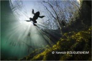 Montier Photo Festival