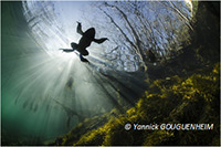 Montier Photo Festival