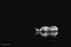 Montier Photo Festival