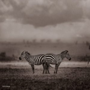 Montier Photo Festival