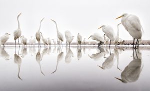 Montier Photo Festival
