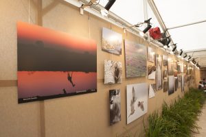 Montier Photo Festival
