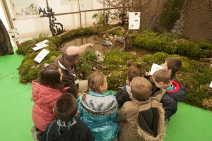 Montier Photo Festival