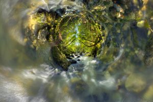 Montier Photo Festival