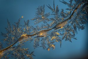 Montier Photo Festival