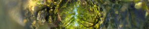 Montier Photo Festival
