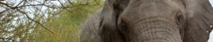 Montier Photo Festival