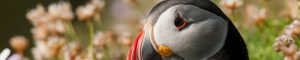 Montier Photo Festival