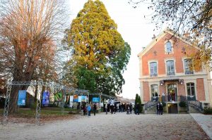 Montier Photo Festival