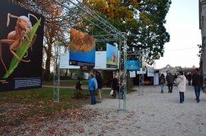 Montier Photo Festival