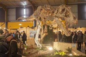 Montier Photo Festival