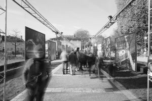 Montier Photo Festival