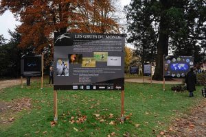 Montier Photo Festival