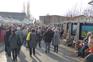 Montier Photo Festival