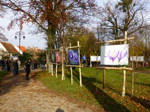 Montier Photo Festival