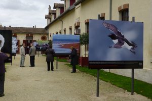 Montier Photo Festival