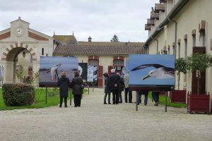 Montier Photo Festival