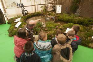 Montier Photo Festival