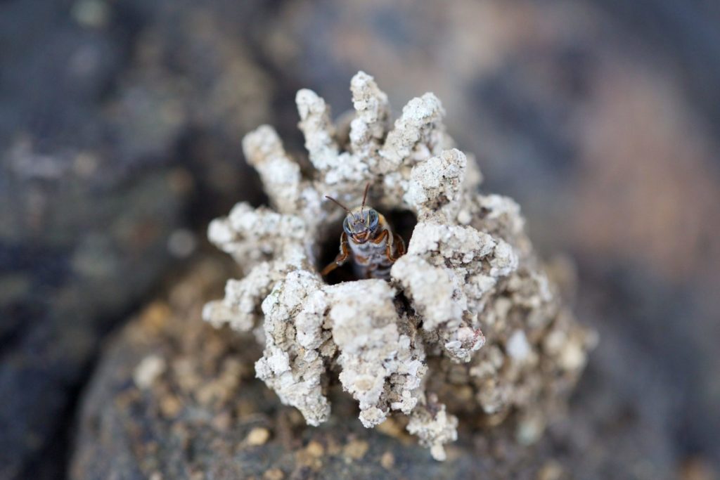 Montier Photo Festival