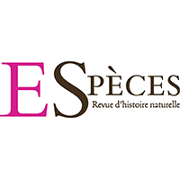 Montier Photo Festival