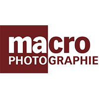 Montier Photo Festival