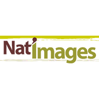 Montier Photo Festival