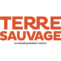 Montier Photo Festival