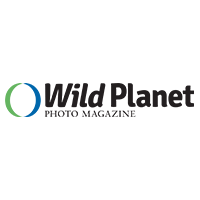 Montier Photo Festival