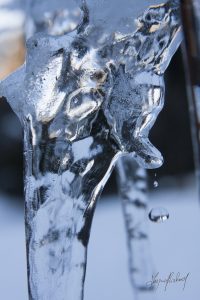 Montier Photo Festival