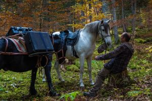 Montier Photo Festival