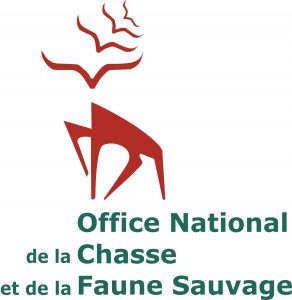 Montier Photo Festival