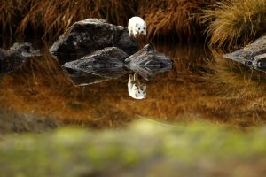 Montier Photo Festival