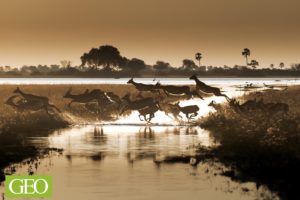 Montier Photo Festival