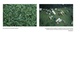 Montier Photo Festival