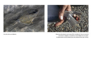 Montier Photo Festival