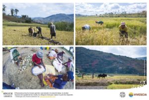 Montier Photo Festival