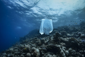 Montier Photo Festival