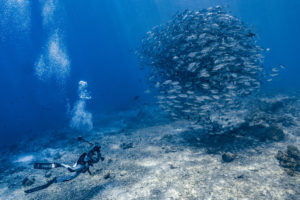 Montier Photo Festival