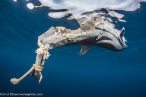 Montier Photo Festival