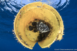 Montier Photo Festival