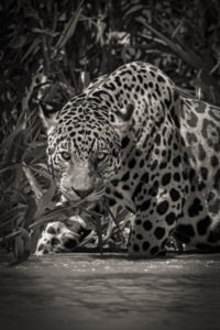 Montier Photo Festival