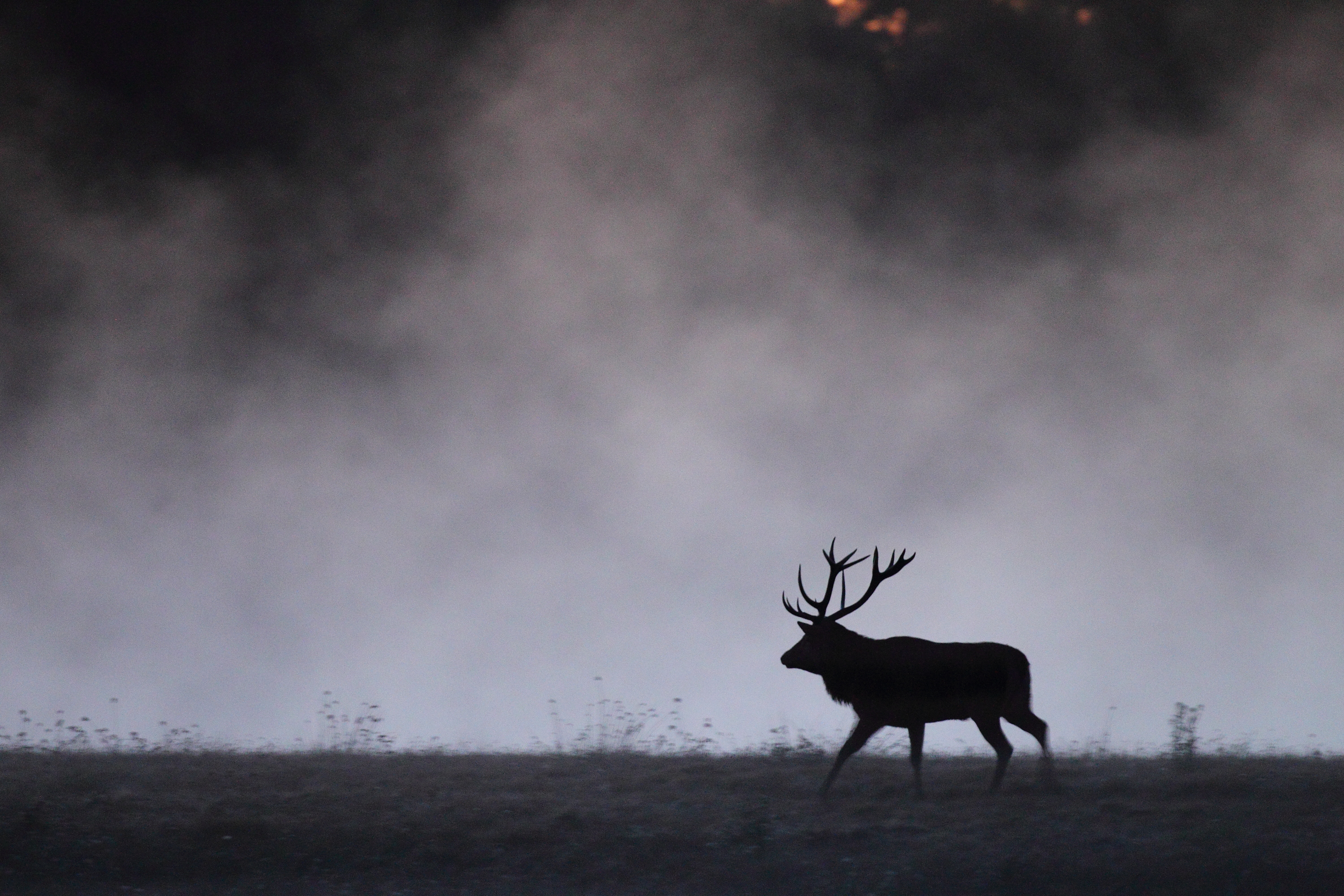 Montier Photo Festival