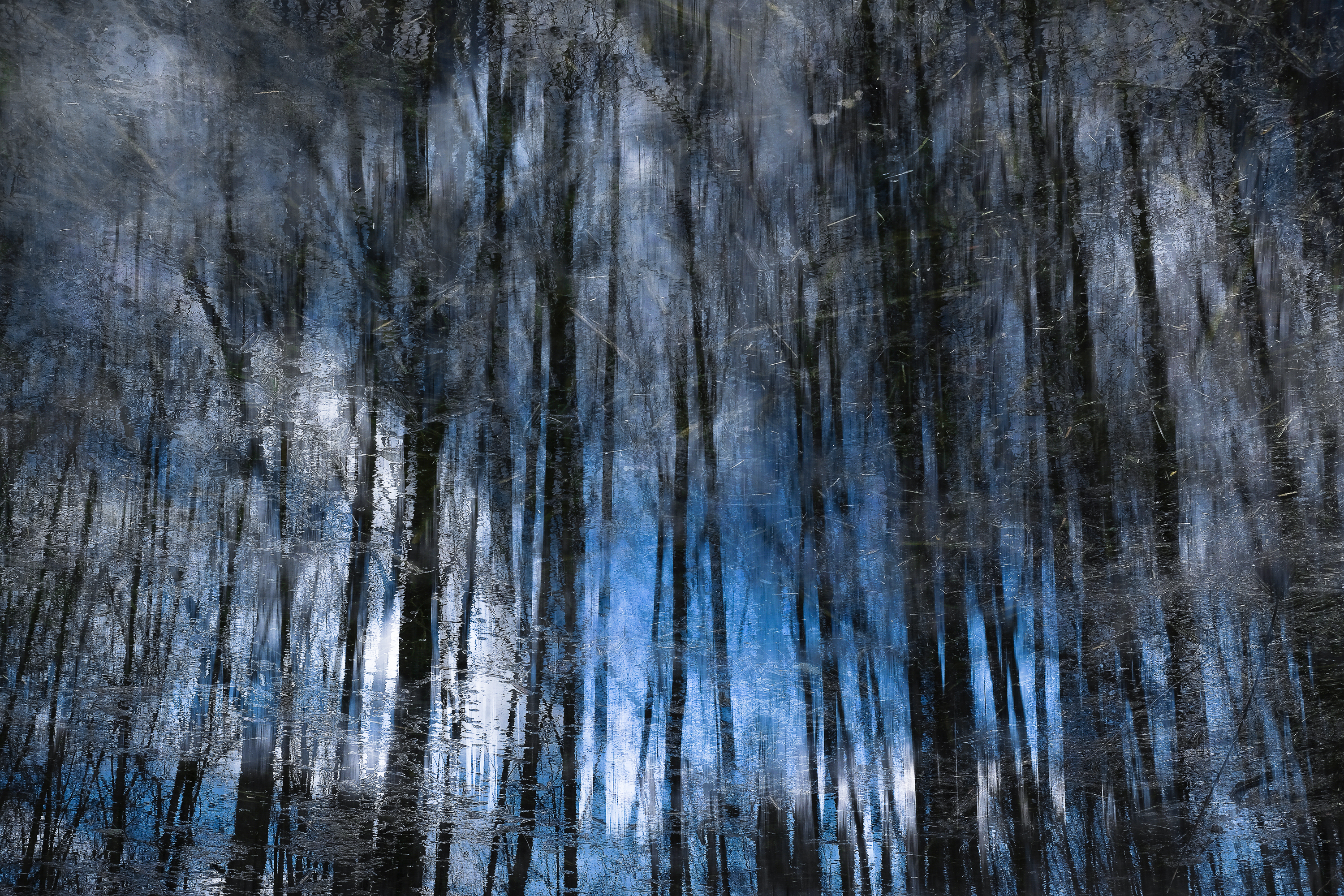 Montier Photo Festival