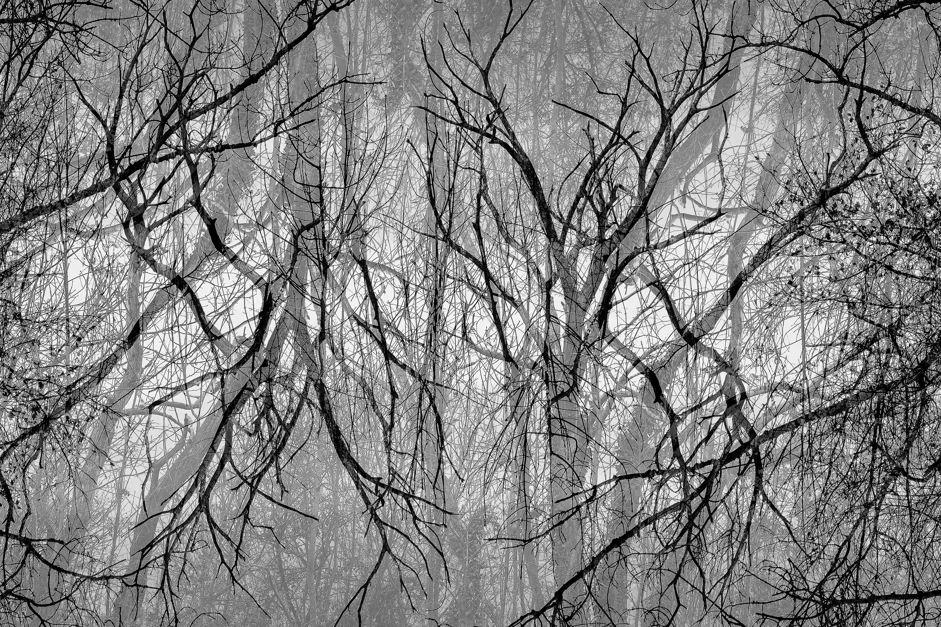 Montier Photo Festival