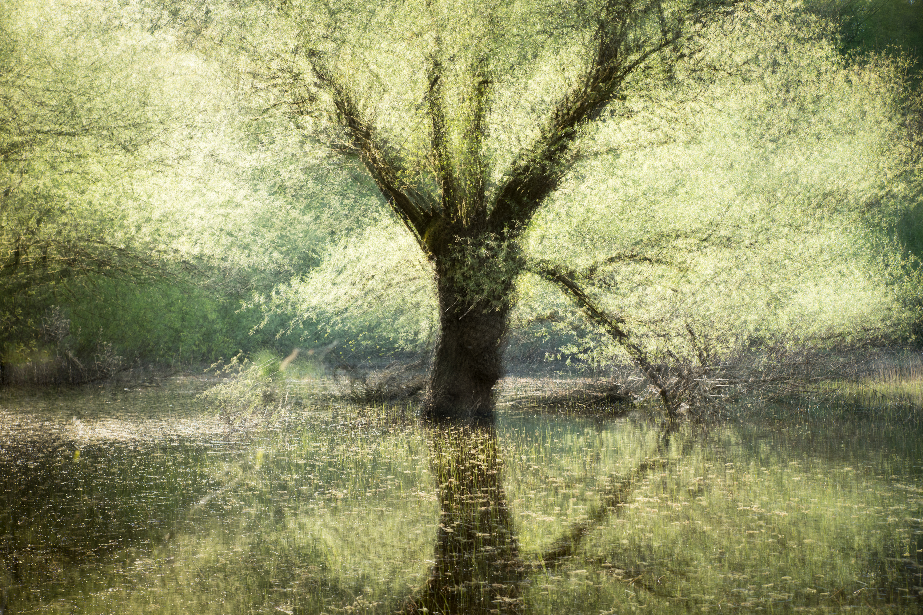 Montier Photo Festival