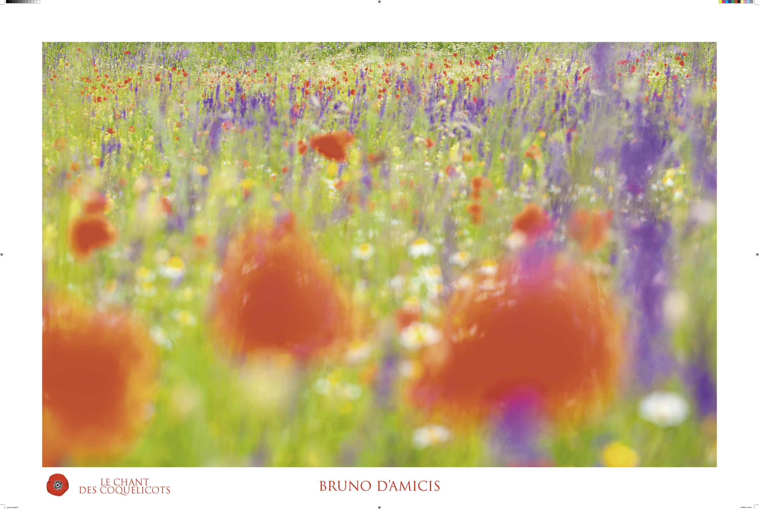 Montier Photo Festival