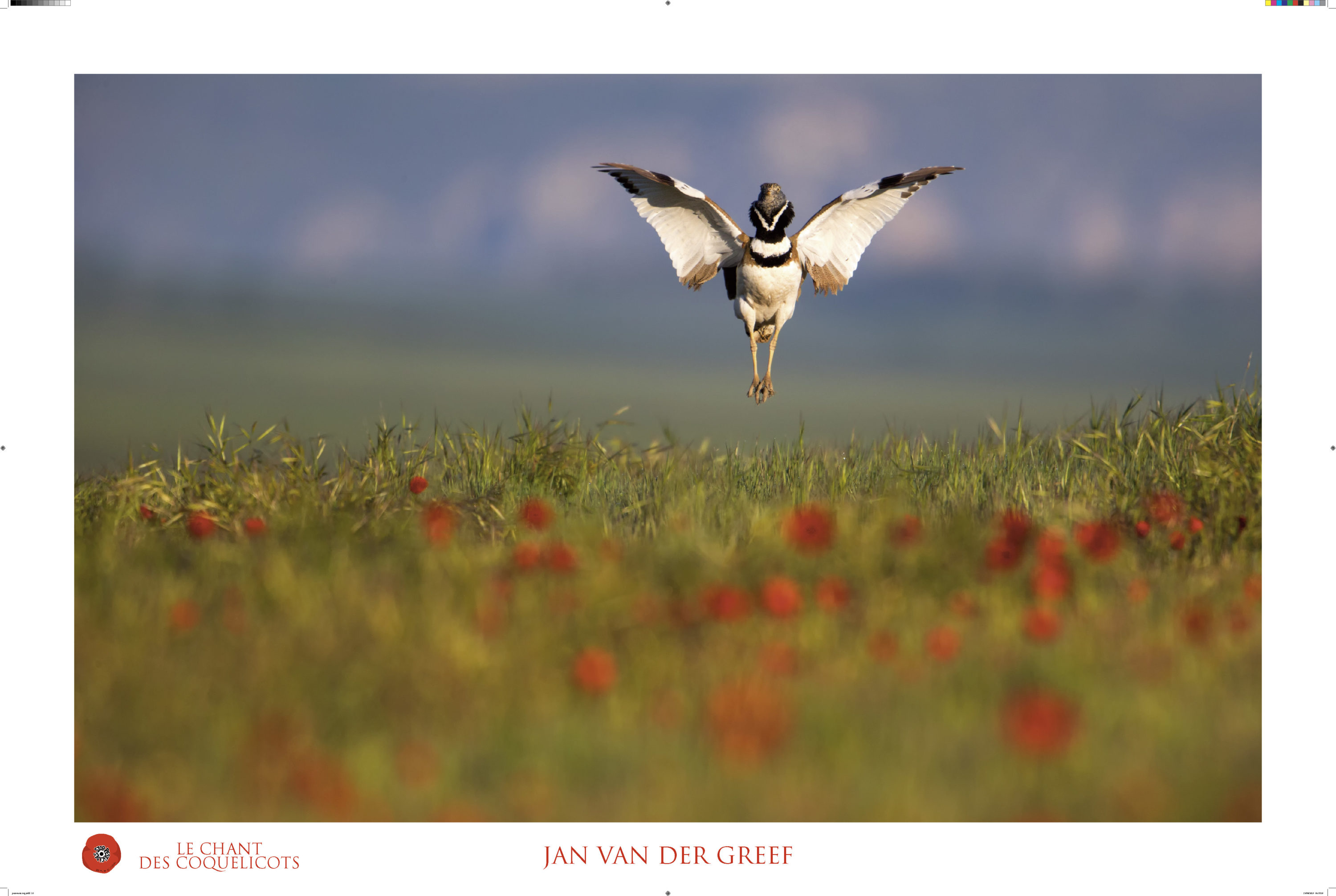 Montier Photo Festival