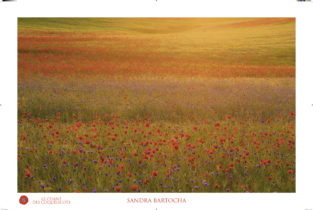 Montier Photo Festival