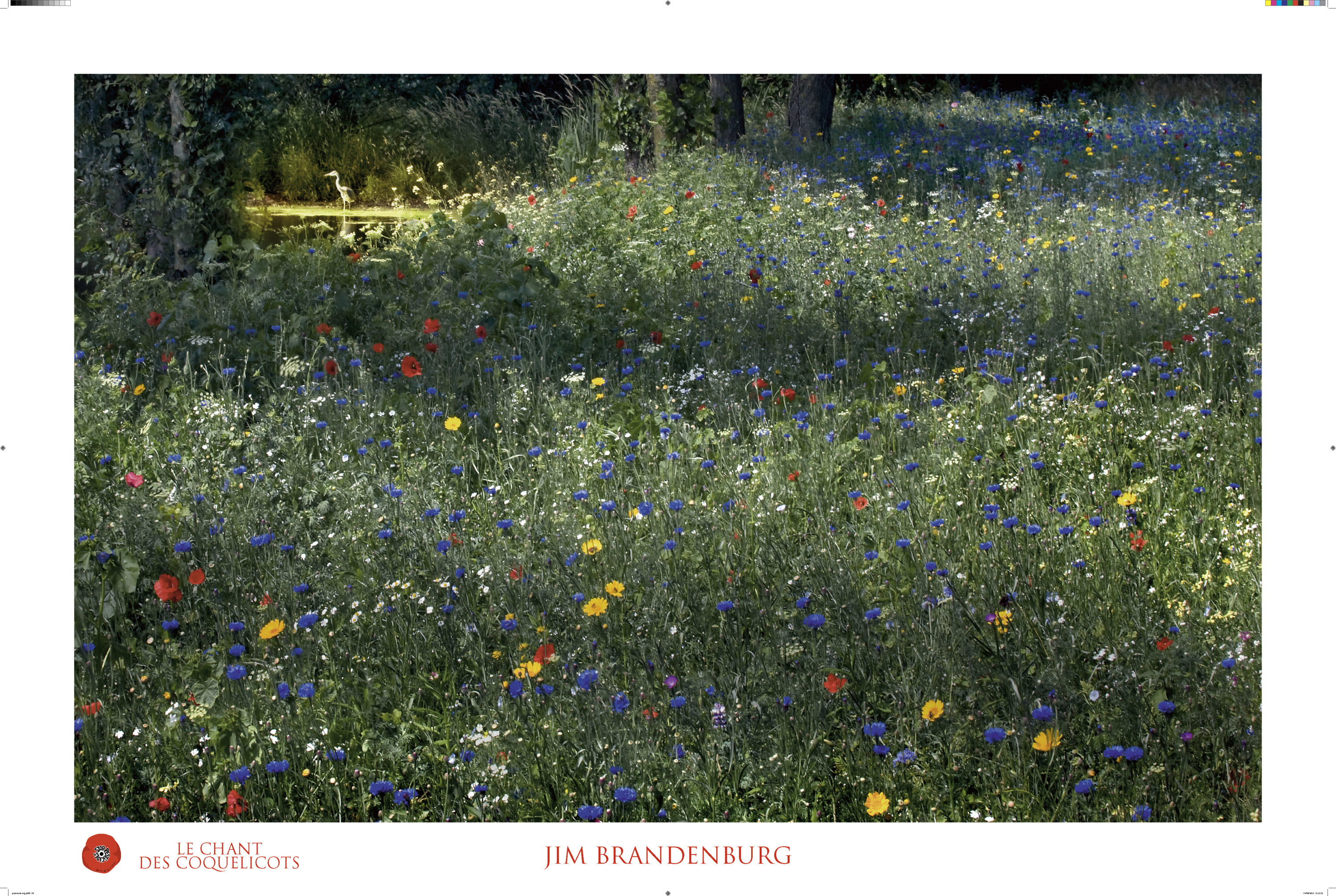 Montier Photo Festival